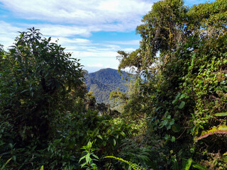 Cerro Pando Panamá Costa Rica
