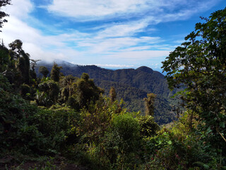 Fototapeta na wymiar Cerro Pando Panamá Costa Rica