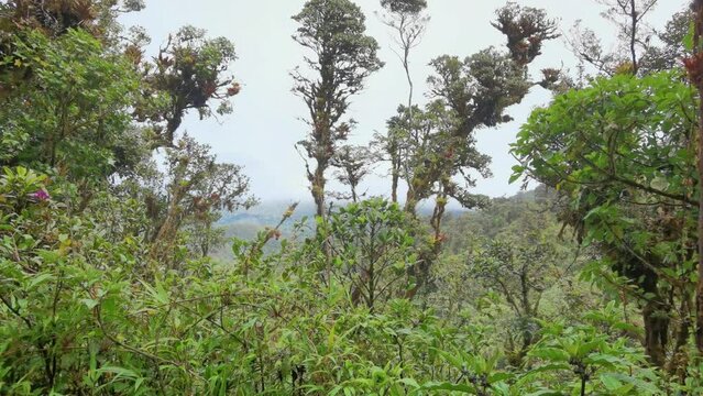 Cerro Pando Panam&aacute; Costa Rica