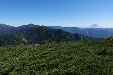 Fototapeta premium 光岳から望む富士山