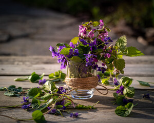 bouquet of lilac viola flowers in a vase