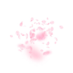 Sakura petals falling down. Romantic pink flowers explosion. Flying petals on white square background. Love, romance concept. Fabulous wedding invitation.