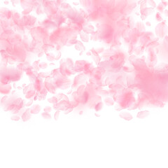 Fototapeta na wymiar Sakura petals falling down. Romantic pink flowers gradient. Flying petals on white square background. Love, romance concept. Appealing wedding invitation.