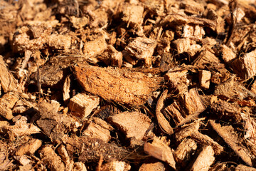 Coconut shell's hair for planting