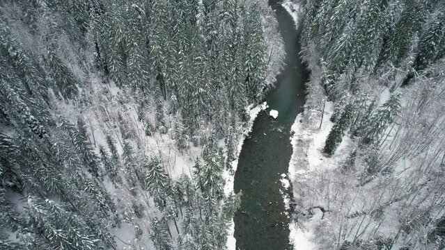 Drone Flight Over River Winding Through Winter Landscape in Washington State Mountains
