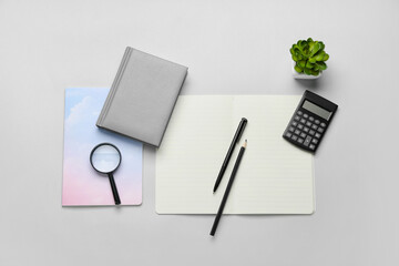 Set of stationery and houseplant on white background