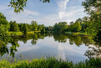 Pond Reflection