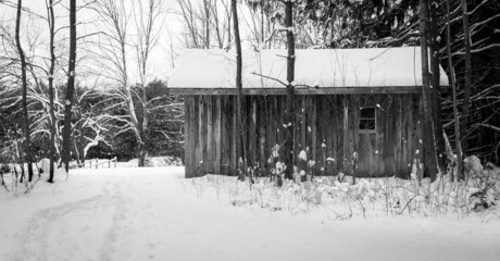 Snow Covered Cabin in Woods