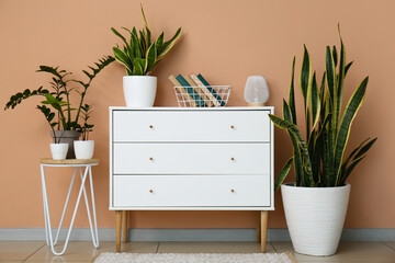 Chest of drawers with books, table and houseplants near beige wall