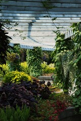  garden with waterfall in summer