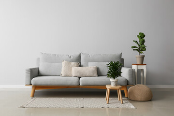 Interior of modern living room with stylish sofa and houseplants