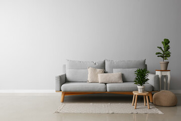 Interior of modern living room with stylish sofa and houseplants