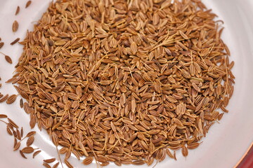 dried Caraway  isolated on white background ,caraway seeds