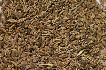 dried Caraway  isolated on white background ,caraway seeds