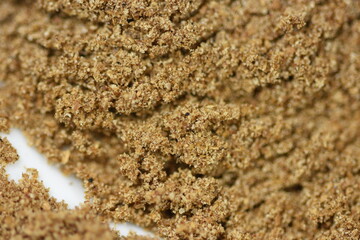 Coriander (Cilantro) powdered - Powdered coriander macro  detail ,