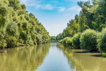 View of Sfantu Gheorghe branch (Saint George), a distributary of the river Danube, in the Danube...