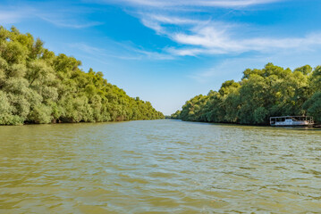 View of Sfantu Gheorghe branch (Saint George), a distributary of the river Danube, in the Danube...