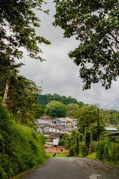 road in the forest that leads to the small tropical town in Colombia. Calarca Quindio. vertical photo