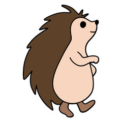 cute porcupine hand-drawn flat color illustration for web, wedsite, application, presentation, Graphics design, branding, etc.