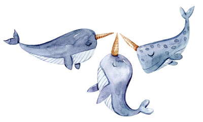 Watercolor cute kids ocean animal illustration on white background. Whale art. Hand painted clipart set, graphics for sublimation, print, pattern, sticker, wallpaper art.  © Tiana_Geo