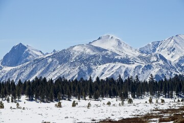 Sierra Snow Days