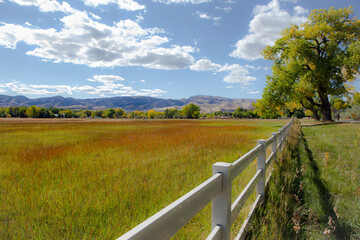 Late summer fields and sky, Laporte Colorado