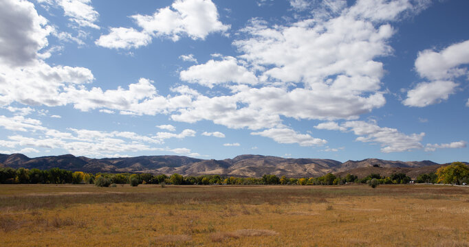 Late summer fields and sky