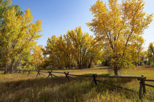 Riverbend Ponds Natural Area, Fort Collins Colorado
