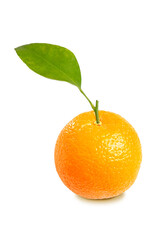 Fresh Grapefruit with green leaf, isolated on white background with clipping path	
