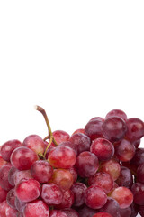 Fototapeta premium Red grapes photographed in a studio on a white background.