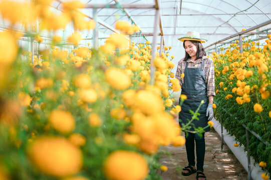Asian woman taking care of a flower garden flower gardens to trade online