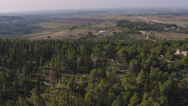 Forest valley near Modiin in Israel, 4k aerial drone view