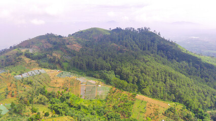 Obraz premium Abstract Defocused forest covering mountains in Cikancung area, Indonesia