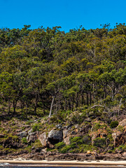 Rugged Riverbank vert