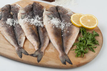 Lim Yeonsu, sea fish, fish, seafood, food, food, lim Yeonsu fish, domestic, marine life, fish,임연수, 바닷물고기 ,어류, 수산물, 식재료 ,먹거리 ,음식 ,임연수어, 국산 ,해양생물, 생선,