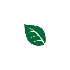 leaf logo vector design ilustration and icon
