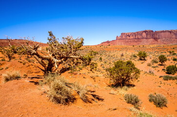 Monument Valley Navajo Tribal Park, Arizona-USA