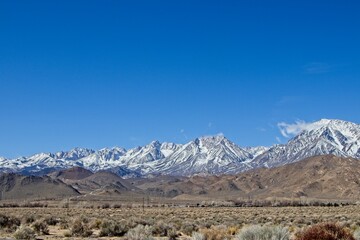 Sierra Nevada Snow Days