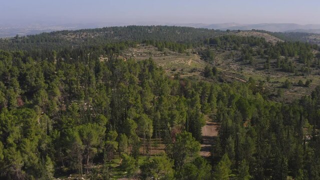 Forest valley near Modiin in Israel, 4k aerial drone view