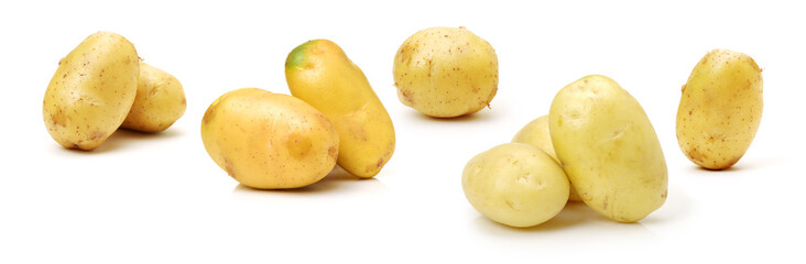 New potato isolated on white background 