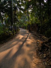 Picturesque lane of a small Indian village in Konkan surrounded by coconut trees. Shadows and highlights by Sunligh
