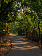Picturesque lane of a small Indian village in Konkan surrounded by trees.