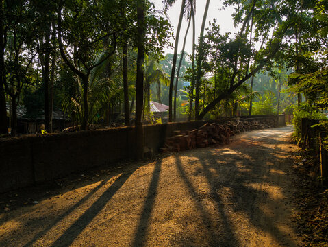 Picturesque lane of a small Indian village in Konkan surrounded by coconut trees