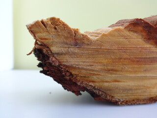 Slice of Wood