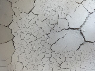 Dry Cracked Soil