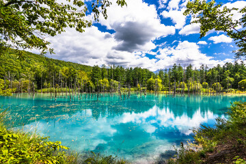 北海道美瑛、9月の青い池・日本
