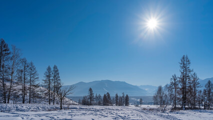 The road winds through a snowy valley. Footprints and tire tracks in the snow. Bare trees all around. A mountain range against the blue sky. The sun is shining in the firmament. Altai.   