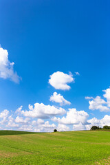 8月の北海道、秋の空と丘に広がる畑