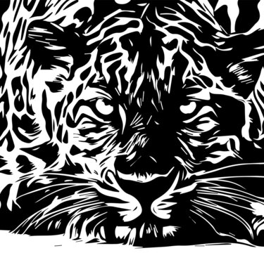 Black tiger illustration