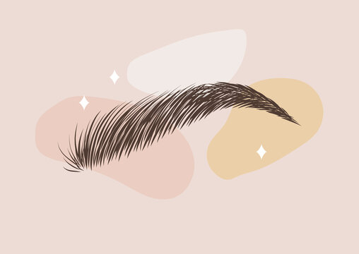 Brow bar logo. Hand drawn female eyebrows. Permanent make-up and microblading. Linear vector Illustration in trendy minimalist style.